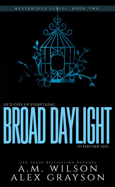 book cover of Broad Daylight. black background. A cage is on the top half and the title is on the bottom half, both in a shiny blue color