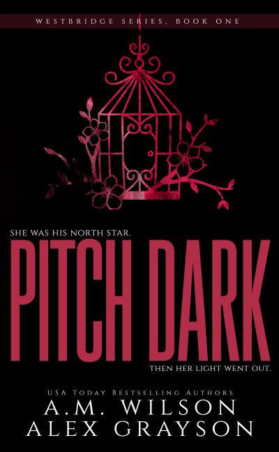 book cover of Pitch Dark. black background. A cage is on the top half and the title is on the bottom half, both in a shiny red color
