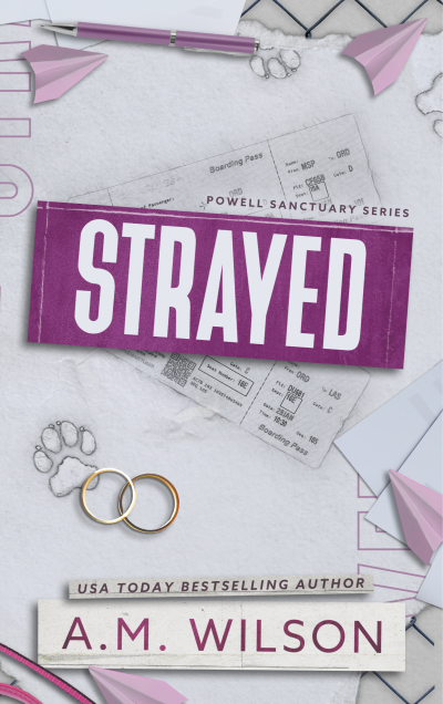 Discreet paperback cover with pink theme and a white background. There are several pink paper planes scattered, a pair of gold wedding rings, and two plane tickets sketched onto the middle